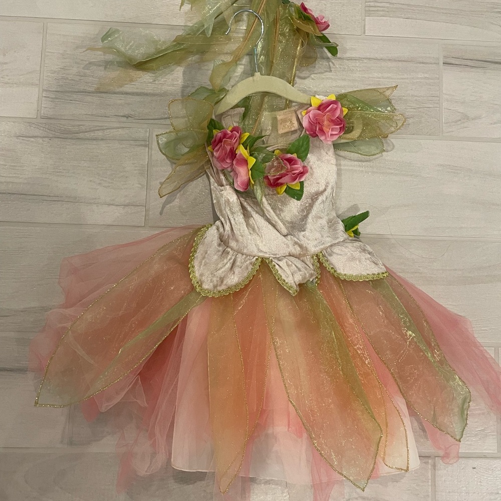 BUNDLE Princess dresses and night gowns. 3 years old.